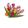 Tulip Bouquet Tulips