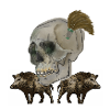 Sanglier