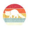 Raccoon Shirt. Retro Style