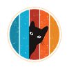 Funny Cat Look