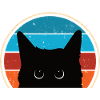 Funny Cat Look
