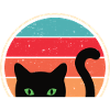 Funny Cat Look