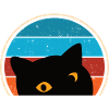 Funny Cat Look