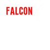 Falconer Falconry Ornithology Falcon Trainer