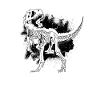 Trex Skeleton Bones - bones