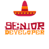 Senior Developer Programming Programmer