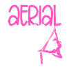 Aerial Silk Expert