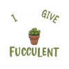 Succulents Plants