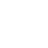 CESKY FOUSEK Hunde Jagdhunde Wilsigns
