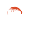 Shrimp Lover Gift