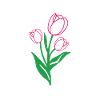 Tulpen Bunt