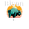 Buffalo Bison Ox Indian American
