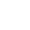 Buffle Bison Buffle Amérindien