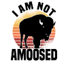 Buffle Bison Buffle Amérindien