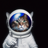 astro cat