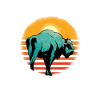 Buffalo Bison Ox Indian American