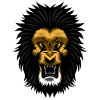 Lion shield
