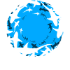 Océan de requins