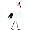 Crane