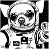 Chihuahua in Space