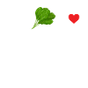 Spinach