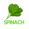 Spinach