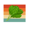 Spinach