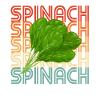 Épinard