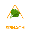 Spinach