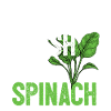 Spinach