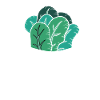 Spinach