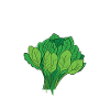 Épinard