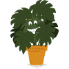 Monstera