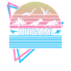 Origami Retro Japanese Wrinkles