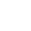 Chinesischer Schopfhund