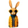 Lapin de mode