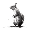 Squirrel art
