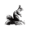 Squirrel art