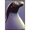 Penguin Sunglasses Wildlife Bird Seabird