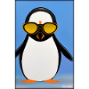 Penguin Sunglasses Wildlife Bird Seabird