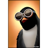 Penguin Sunglasses Wildlife Bird Seabird