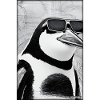 Penguin Sunglasses Wildlife Bird Seabird