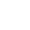 Geek