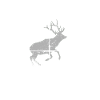 Jäger Papa Jagt.Hirsch Geschenkidee