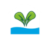 Hydroponik Indoor-Gartenbau