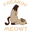 Freakin Meowt