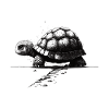 Turtle Stencil Design Art