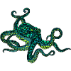 Mandala squid