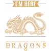 Men Boys Medieval Dragon Lover