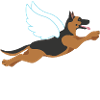 Flughund